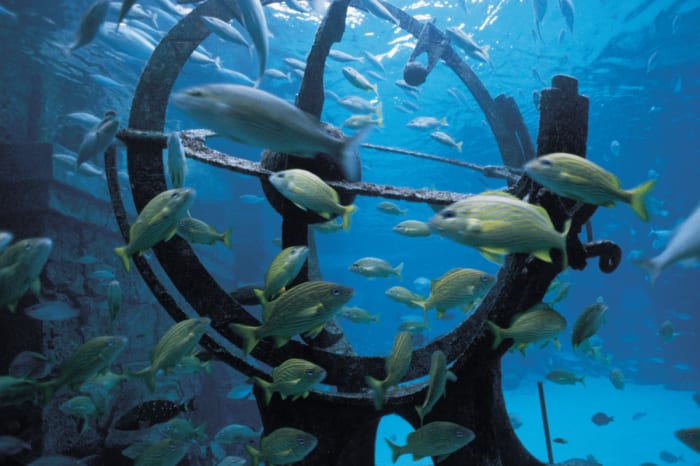 Ruins_Lagoon_381_Med - GALLERY.jpg